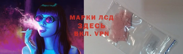 спайс Беломорск