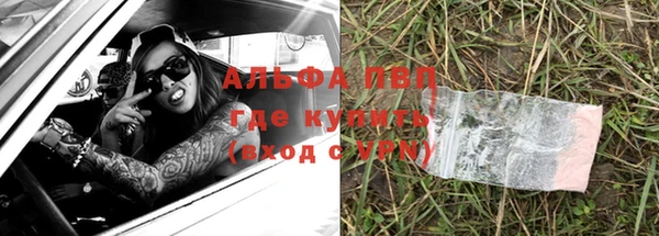 спайс Беломорск