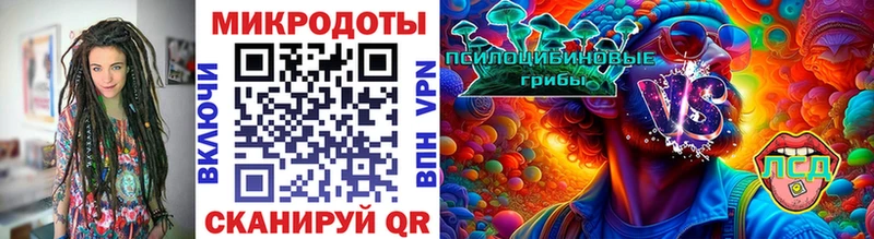 Псилоцибиновые грибы мухоморы  купить наркоту  Невьянск 